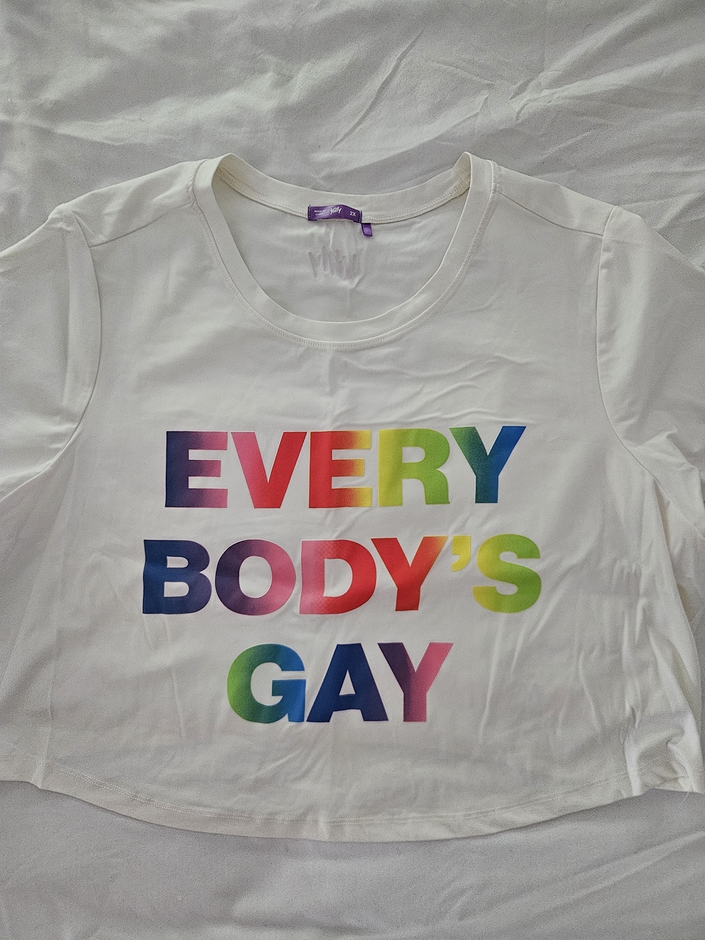 Yitty Everybody's Gay 2XL Pride Babydoll Tee